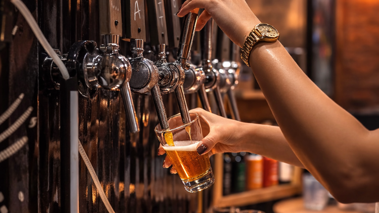 Nord Experience - Visita Guiada